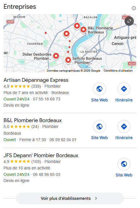 Résultats Google Maps avec fiches d'artisans
locaux
